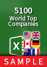 5100 World Top Companies Excel Sample