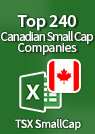 Top 240 Canadian Small-Cap Companies [TSX SmallCap] – Excel Download