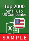 Top 2000 Small-Cap US Companies Excel spreadsheet sample