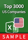 Top 3000 US Companies - Excel Spreadsheet sample